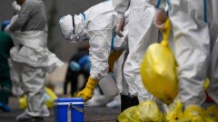 Часть провинции на северо-востоке Китая закрыли на карантин