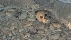 В Павлодарской области водопровод засыпали землёй с человеческими останками