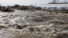 Спасатели Карагандинской области ведут поиски пропавших у реки братьев