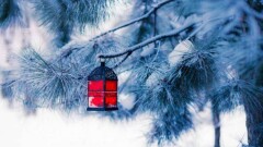 Синоптики представили прогноз погоды на 6 февраля