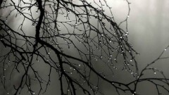 8 сентября в шести областях Казахстана ожидаются заморозки