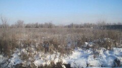 Четыре тысячи земельных участков незаконно выделили в Казахстане