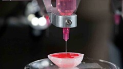 В Японии учёные успешно вживили распечатанные на 3D-принтере клетки печени 