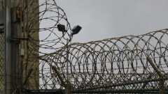 Заключённых, которых пытали в колонии в Заречном, этапировали в другое учреждение