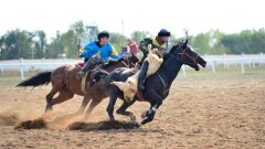 Сборная РК по кокпару вернулась на Игры кочевников после скандала с организаторами