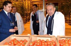Нурсултан Назарбаев посетил тепличный комплекс в Актюбинской области