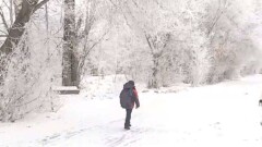 Родители школьников в Алматинской области разрешают детям сбегать с последнего урока