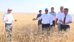 Шукеев назвал казахстанских производителей сельхозтехники мошенниками