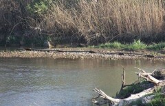 Из Казахстана в Кыргызстан контрабандой перекачивали дизтопливо под землей