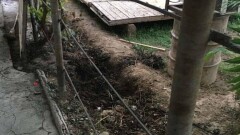 В Минобороны попросили арысцев, нашедших фрагменты боеприпасов, вызывать сапёров
