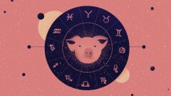 2019. Доңыз жылына арналған жұлдызшы мен нумерологтардың болжамы