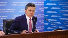 Аким Астаны предложил решения по поддержке многодетных семей