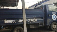 В Алматы уничтожили молочную продукцию трёх кыргызских торговых марок