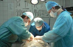 Карагандинские хирурги спасли пациенту детородный орган