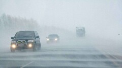 Из-за нулевой видимости 80 человек застряли на трассе Алматы – Ташкент