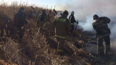 Спустя пять дней в Атырауской области потушили крупный пожар в камышовых зарослях