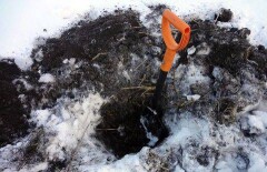 Женщина и её сожитель закопали новорождённого ребёнка в ВКО