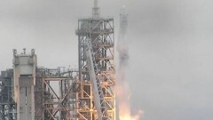 Золотистый стафилококк отправили в космос на корабле Элона Маска