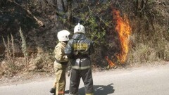 В Алматы снова загорелся склон горы Кок-Тобе