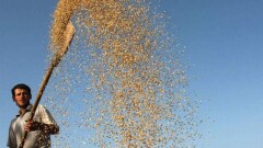 ФАО: Продовольственная безопасность пока недостижима, голод непобедим