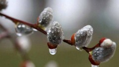 Синоптики рассказали, какая погода ждет казахстанцев 6 апреля