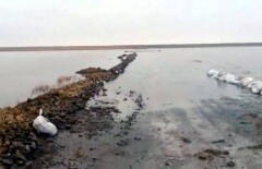 Республиканскую трассу затопило в Актюбинской области