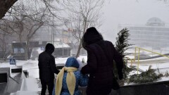 В Астане из-за сильного ветра отменили уроки в начальных классах