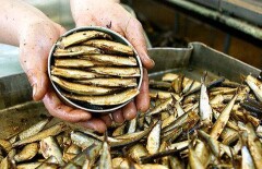 Казахстан временно запретил ввоз рыбной продукции из Латвии и Эстонии