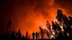 В Португалии арестован подозреваемый в поджоге. Сгорело около 3000 га леса