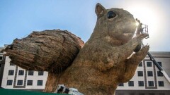 Создателю белки в Алматы не позволят сжечь конструкцию по обыкновению