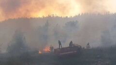 Площадь пожара в Каркаралинском природном парке увеличилась ещё на 1200 гектаров