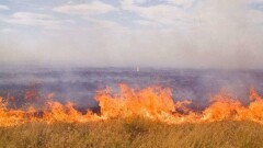 Родные заживо сгоревшего акима винят в смерти его руководство