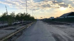 В Атырау вырубают деревья, мешающие работам по расширению улицы