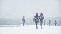 Прогноз погоды на 11 января: почти на всей территории Казахстана пройдёт снег
