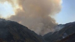 В Жамбылской области третьи сутки тушат пожар на территории 200 гектаров