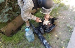 Полиция проверяет, связаны ли найденные в Алматы боеприпасы с сообщениями о митинге 21 мая