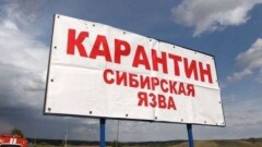 В МСХ объяснили, почему не успевают быстро реагировать на очаги заражений