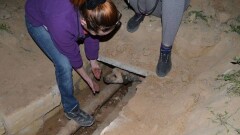 Замурованной заживо собаке из Актау ищут хозяев