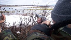 Весеннюю охоту предлагают запретить в Казахстане