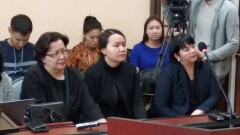 Виновница в гибели внука Олжаса Сулейменова попросила прощения у его родителей