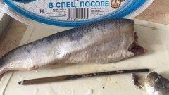 Внутренности селёдки из супермаркета Усть-Каменогорска шокировали покупателя