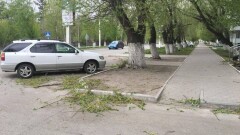 Осадки в виде грязи удивили костанайцев