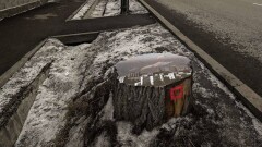 Новая работа стритарт-художника Паши Каса появилась в Алматы на улице Жансугурова