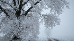 Прогноз погоды на 10 декабря: в Туркестанской и Кызылординской областях ожидается шторм