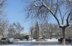 Полицейская спецоперация проходит в Шымкенте