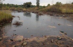 Масляное озеро в Усть-Каменогорске оказалось мыльным 