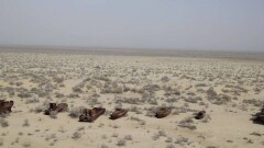  На высохшем дне Аральского моря Казахстан высадит 177,5 млн саженцев, на это потратят 1,9 млрд тенге