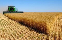ЕБРР профинансирует казахстанских аграриев в счет будущего урожая