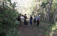 Четверо подростков заблудились на Кок-Жайляу в Алматы