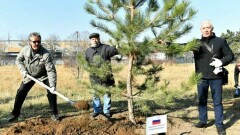 Сосновую аллею высадили в Алматы в честь 75-летия ООН